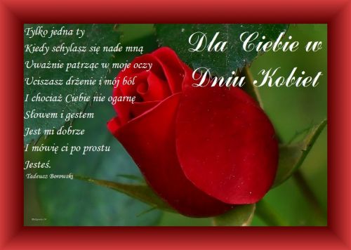 Tylko jedna ty. Kiedy schylasz się nade mną